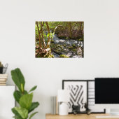 Mingus Creek in de Smoky Mountains Poster (Thuiskantoor)