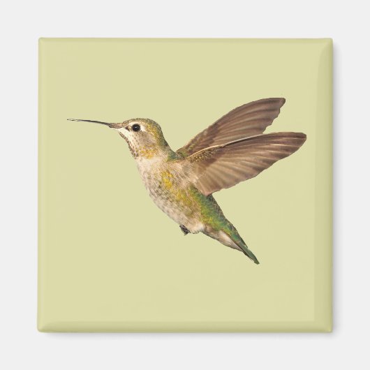 Mingvogel in vliegmagneet magneet (Voorkant)