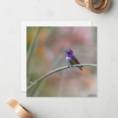Mingvogel met mooie paarse veren notitiekaartje (Voorkant / Achterkant in situ)