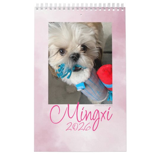 Mingxi Calendar 2026 Kalender (Hoes)
