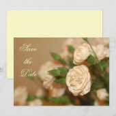 Mini-anjer bespaart datum/uitnodiging save the date (Voorkant / Achterkant)