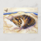 Mini Art Calico Cat Slaapend Briefkaart (Voorkant)