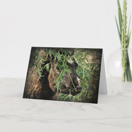 Mini Being Onery, Birthday Kaart (Voorkant)