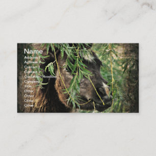 Mini Being Onery Visitekaartje