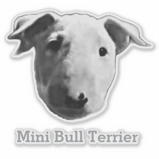 Mini Bull Terrier Sticker (Voorkant)