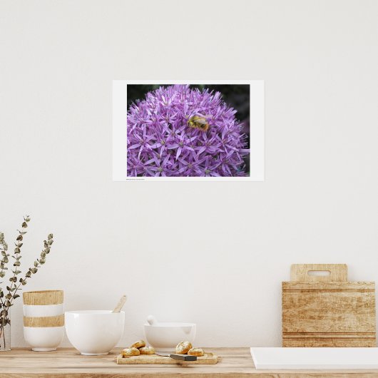 Mini Bumble Bee op Allium Poster (Keuken)