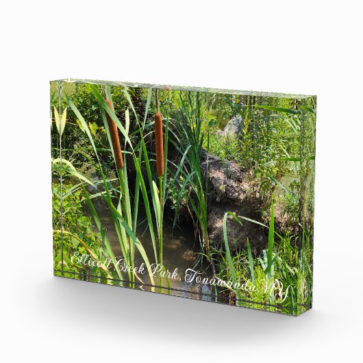 Mini Cattails Lagoon Fotoblokken (Rechts)