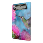 Mini Clipboard/Hummingbird Klembord (Angled2)