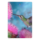 Mini Clipboard/Hummingbird Klembord (Achterkant)