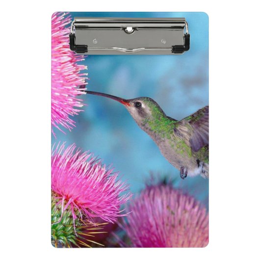 Mini Clipboard/Hummingbird Klembord (Voorkant)