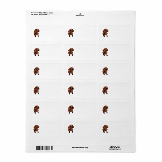 Mini Dachshund Adresetiketten Etiket (Full Sheet)