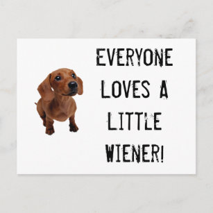 Mini Dachshund Little Wiener Briefkaart