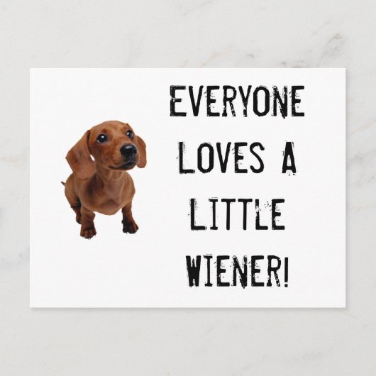 Mini Dachshund Little Wiener Briefkaart (Voorkant)