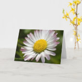 Mini Daisy Groeten Kaart (Gele Bloem)