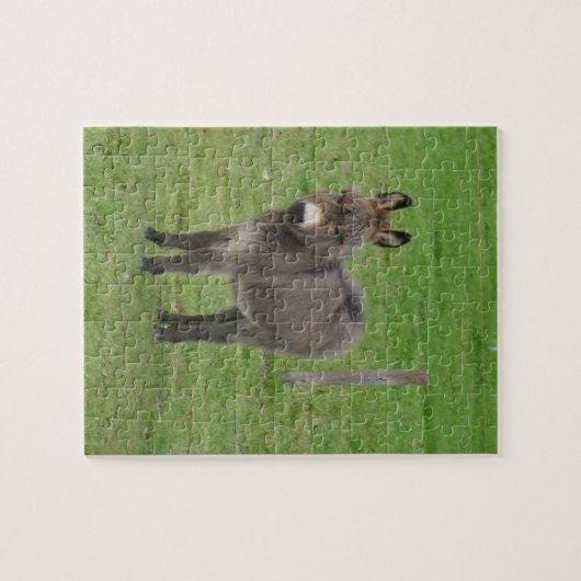 Mini Donkey in een paddock. Legpuzzel (Horizontaal)