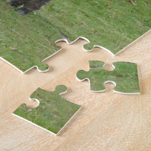 Mini Donkey in een paddock. Legpuzzel (Zijkant)