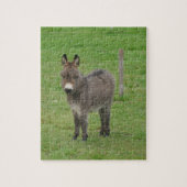 Mini Donkey in een paddock. Legpuzzel (Verticaal)