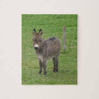 Mini Donkey in een paddock. Legpuzzel