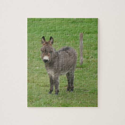 Mini Donkey in een paddock. Legpuzzel (Verticaal)