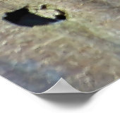 Mini Dragon Battle Poster (Hoek)