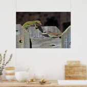 Mini Dragon Battle Poster (Keuken)