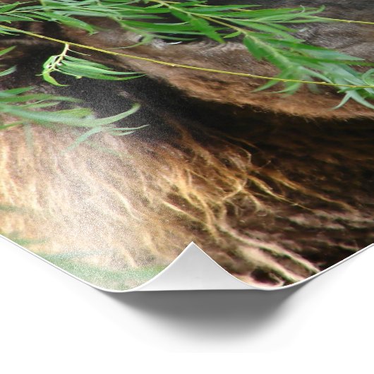 Mini Filly Being Onery Foto Afdruk (Hoek)