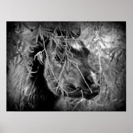 Mini Filly Being Onery Poster