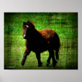 Mini Filly Poster (Voorkant)