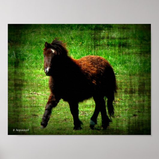 Mini Filly Poster (Voorkant)
