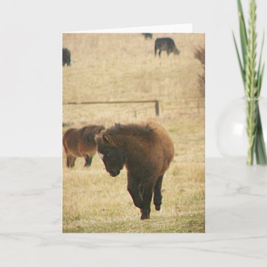 Mini Foal die haar hellingen opblaast Kaart (Voorkant)