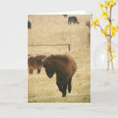 Mini Foal die haar hellingen opblaast Kaart (Gele Bloem)