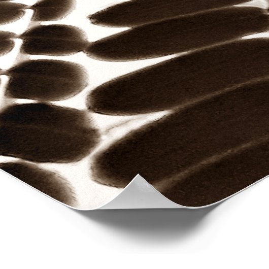 mini folhas - old poster (Hoek)