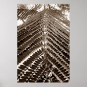 mini folhas - old poster (Voorkant)