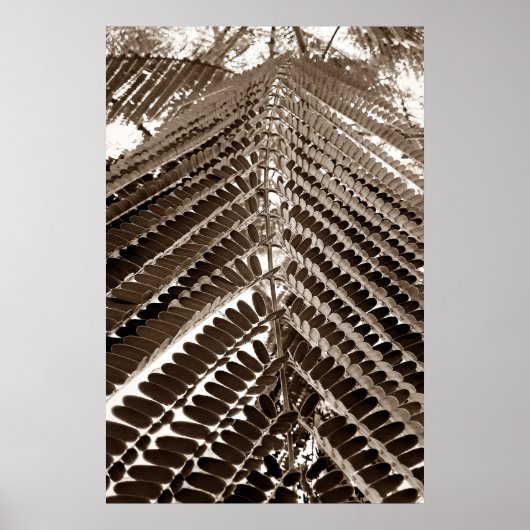 mini folhas - old poster (Voorkant)