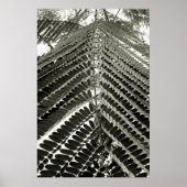 mini folhas poster (Voorkant)