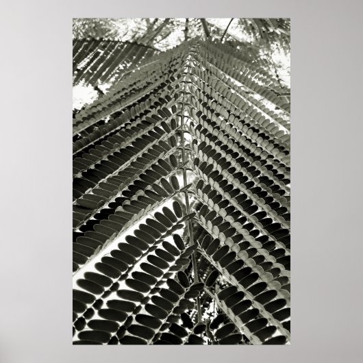 mini folhas poster (Voorkant)