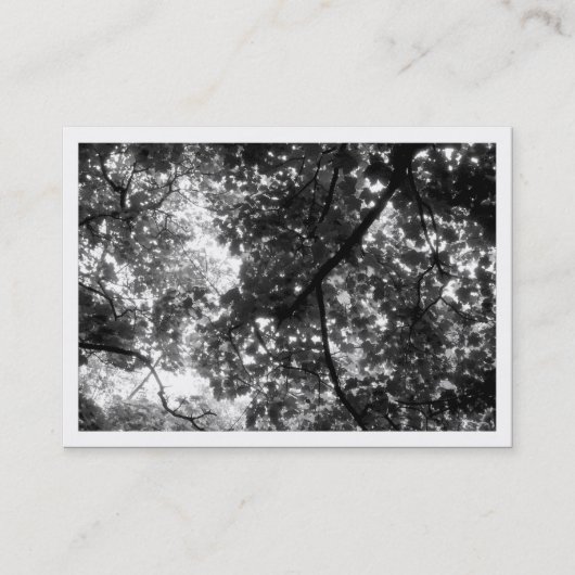 Mini-foto in de bomen (witte rand) visitekaartje (Voorkant)