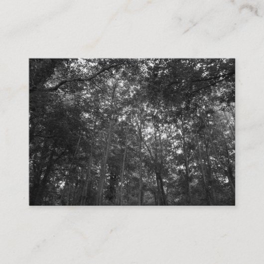 Mini Foto omhoog in de Bomen Visitekaartje (Voorkant)