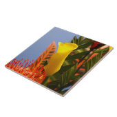 mini-gele dwerg tegeltje (Zijkant)