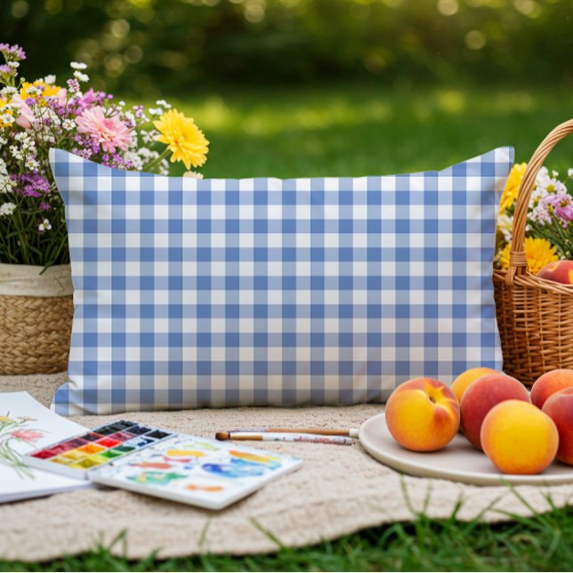 Mini Gingham Geruite Koremblauw Schotse Ruit Patro Buitenkussen (Creator heeft geüpload)
