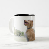 Mini Golden Doodle Tweekleurige Koffiemok (Voorkant links)
