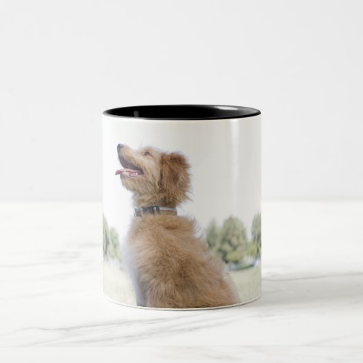 Mini Golden Doodle Tweekleurige Koffiemok (Center)