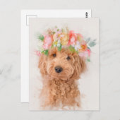 Mini Goldendole Dog Flower Crown Portret Briefkaart (Voorkant / Achterkant)