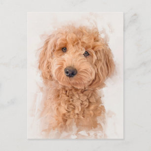 Mini Goldendole Dog Portrait Briefkaart
