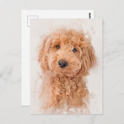 Mini Goldendole Dog Portrait Briefkaart (Voorkant / Achterkant)