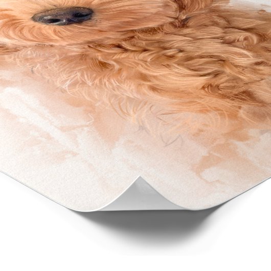 Mini Goldendole Dog Portrait Poster (Hoek)