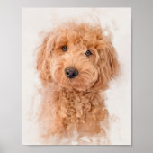 Mini Goldendole Dog Portrait Poster (Voorkant)