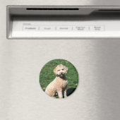 Mini Goldendoodle puppy magneet (Insitu (Vaatwasser))