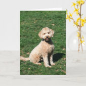 Mini Goldendoodle puppywenskaart Kaart (Gele Bloem)