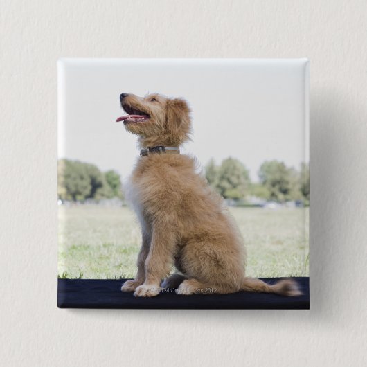 Mini Gouden Doodle Vierkante Button 5,1 Cm (Voorkant)